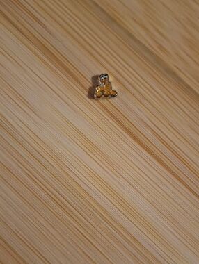 Pluto-style Floating Locket Charm